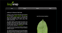 Desktop Screenshot of leafsnap.com